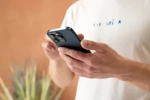 软件封装与 IT 审计的关系